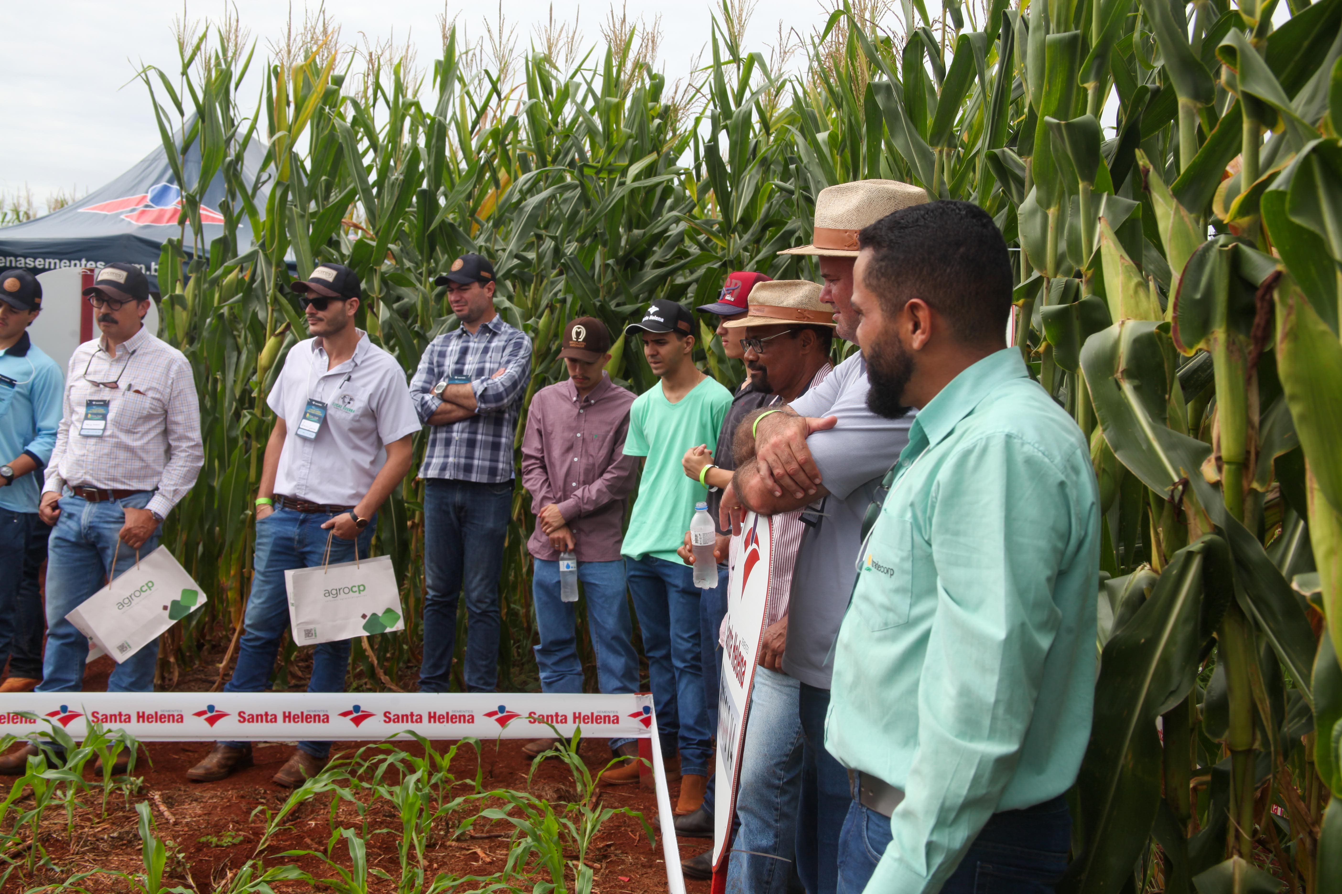 1° Dia de Campo - Foto 23
