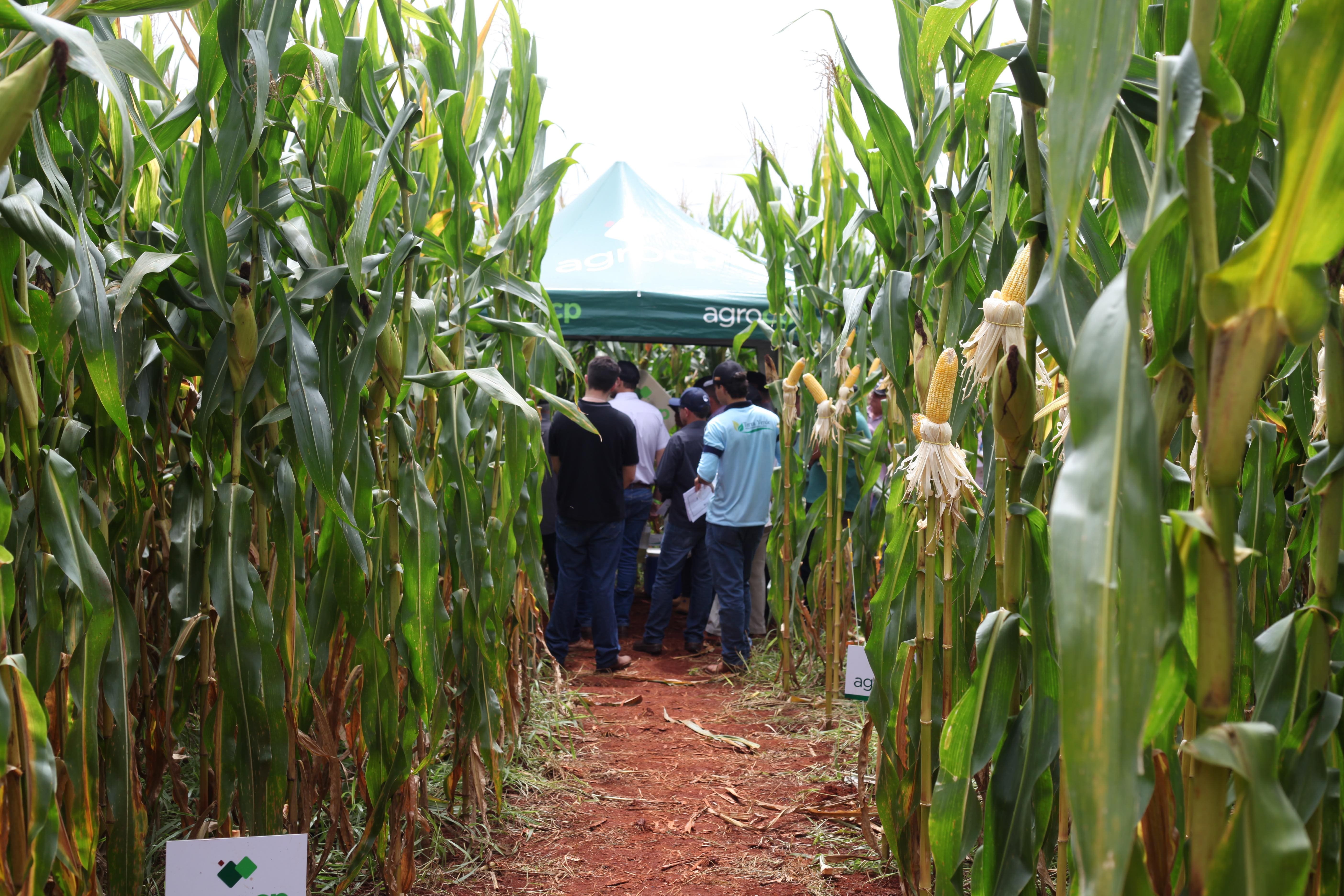 1° Dia de Campo - Foto 36